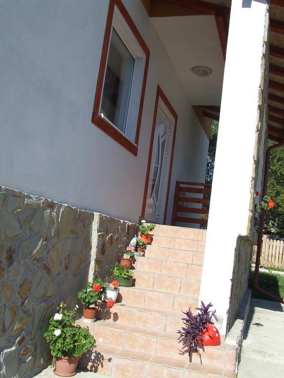 Pensiunea Agroturistica Ioana Bradulet Exterior photo